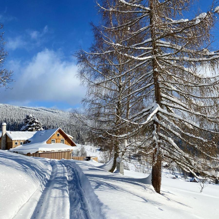 Vila Bouda U Vleku Pec pod Sněžkou Exteriér fotografie