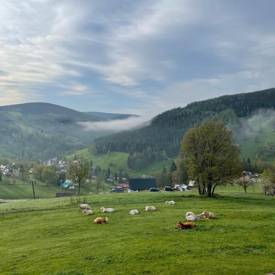Vila Bouda U Vleku Pec pod Sněžkou Exteriér fotografie